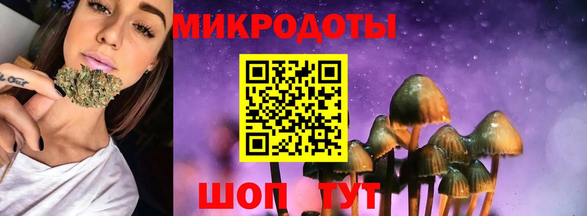 Керчь  Псилоцибиновые грибы Psilocybine cubensis  Вход с VPN  Галлюциногенные грибы Cubensis 